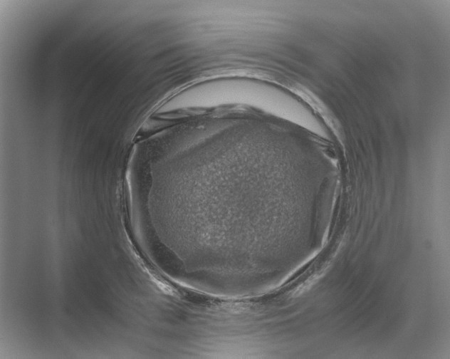 X0000070170993200606091436