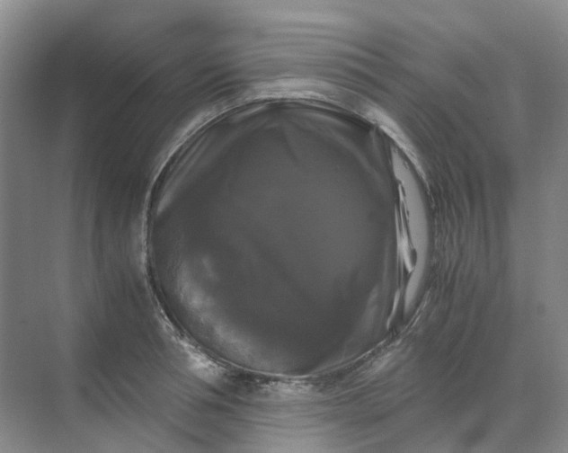 X0000070170994200606091436