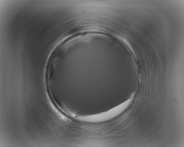 X0000070170995200606091436