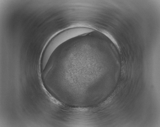 X0000070170996200606091436
