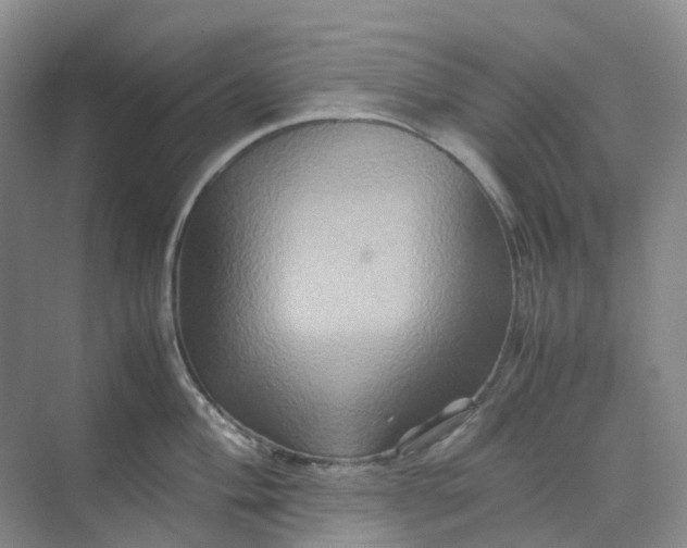 X0000070171004200606091436