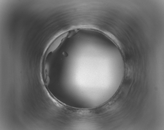 X0000070171006200606091436