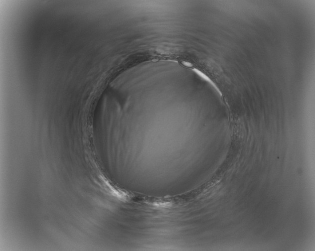 X0000070171009200606091435