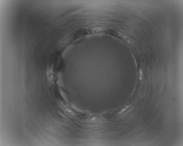 X0000070171011200606091435