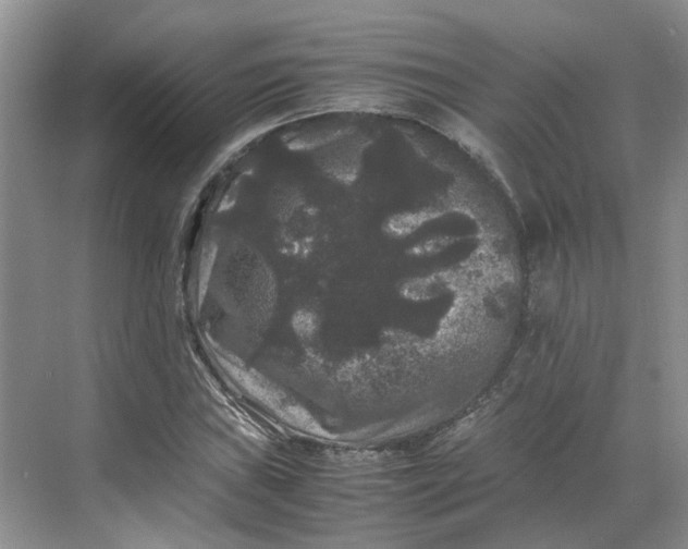 X0000070171019200606091435
