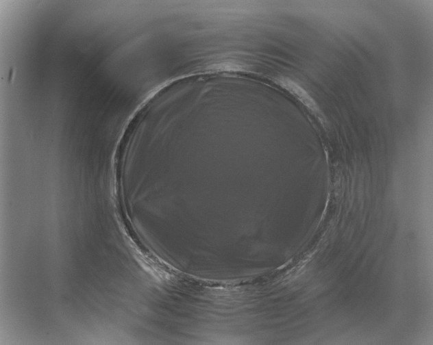 X0000070171031200606091435