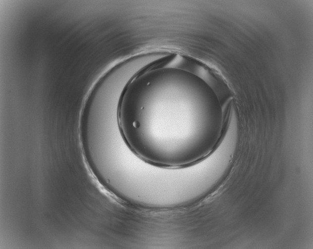 X0000070171038200606091435