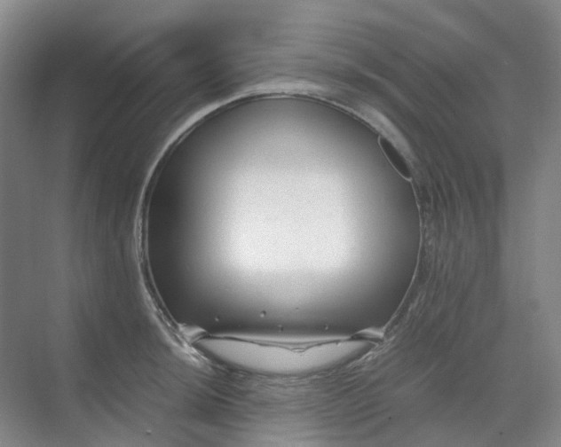 X0000070171044200606091435