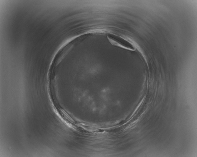 X0000070171045200606091435