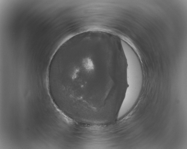 X0000070171048200606091436