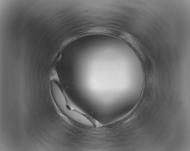 X0000070171049200606091436