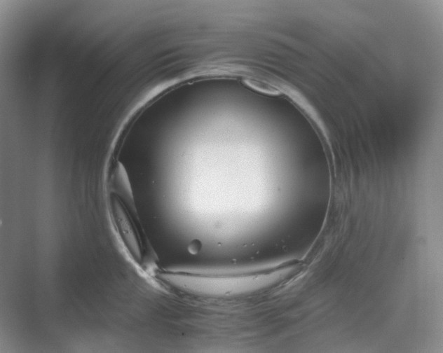 X0000070171053200606091436