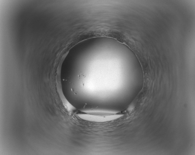 X0000070171057200606091435