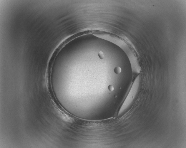 X0000070171076200606091435