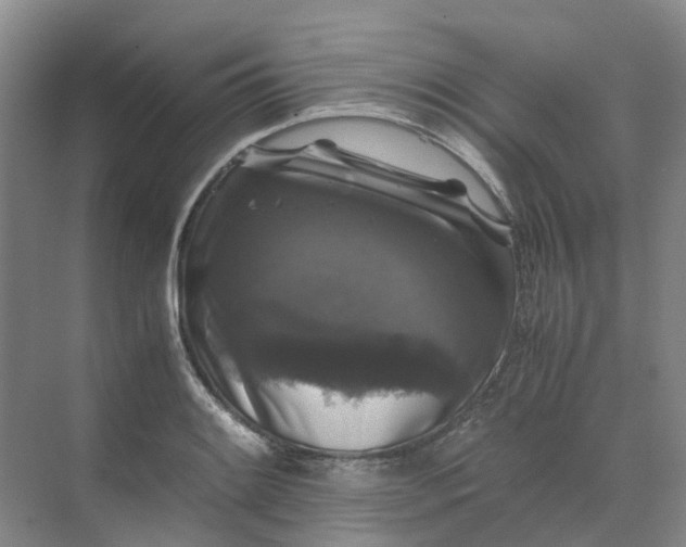 X0000070171084200606091434