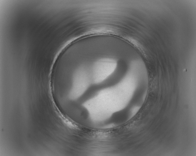 X0000070171086200606091434