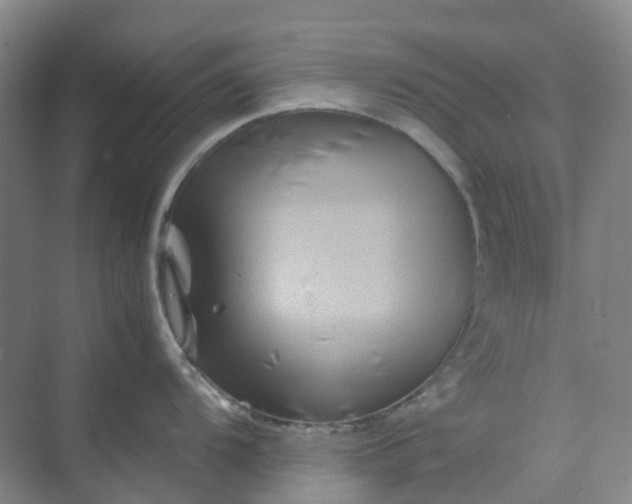 X0000070171104200606091434
