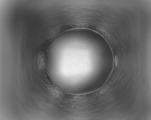 X0000070171107200606091433