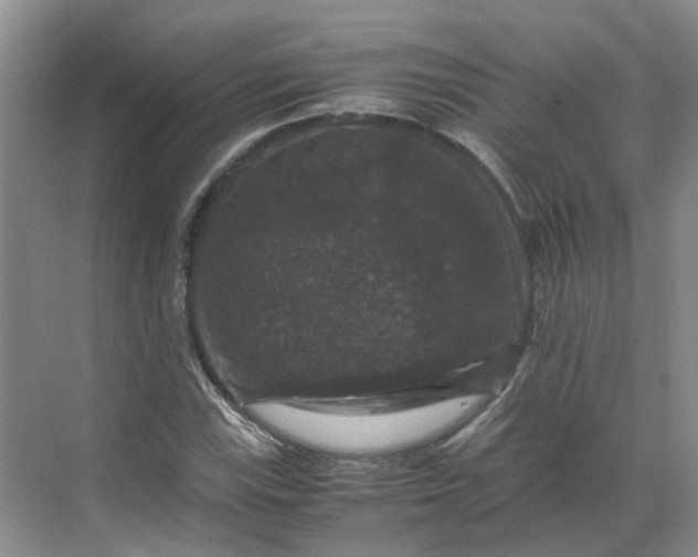 X0000070171115200606091433