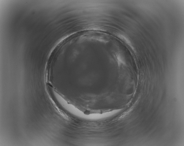 X0000070171125200606091434