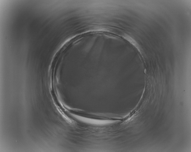 X0000070171127200606091434