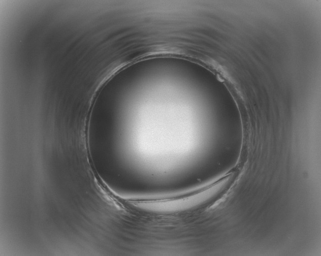 X0000070171137200606091434