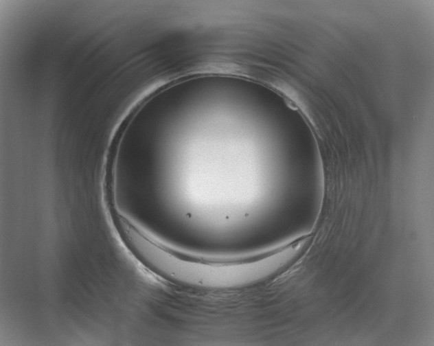 X0000070171139200606091434