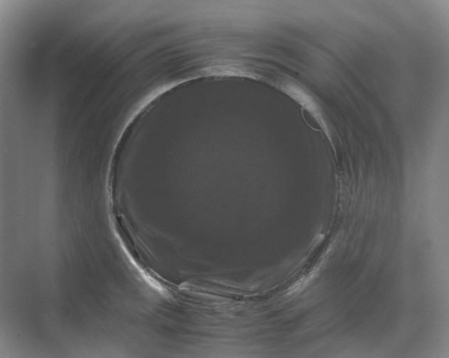 X0000070171141200606091434