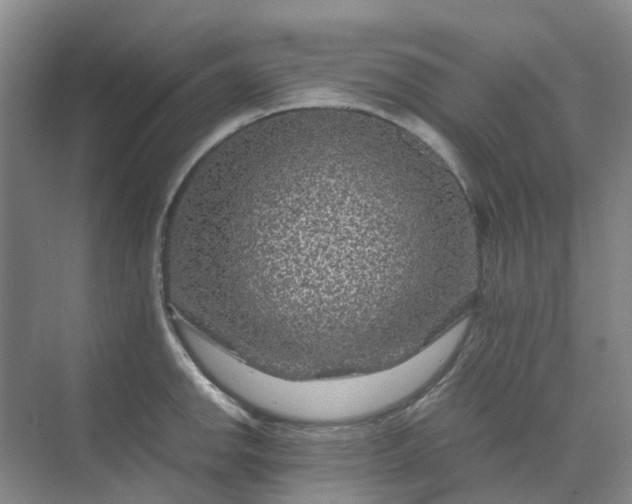 X0000070171142200606091434