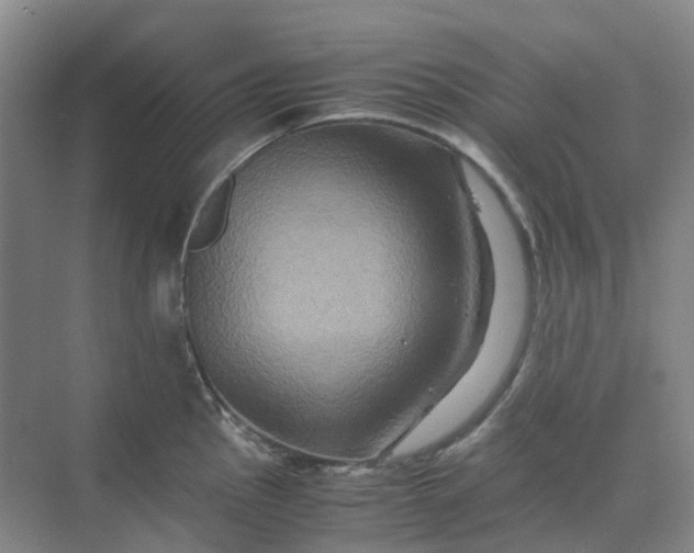 X0000070171145200606091434