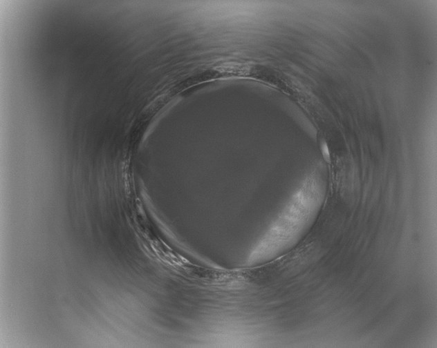 X0000070171154200606091433