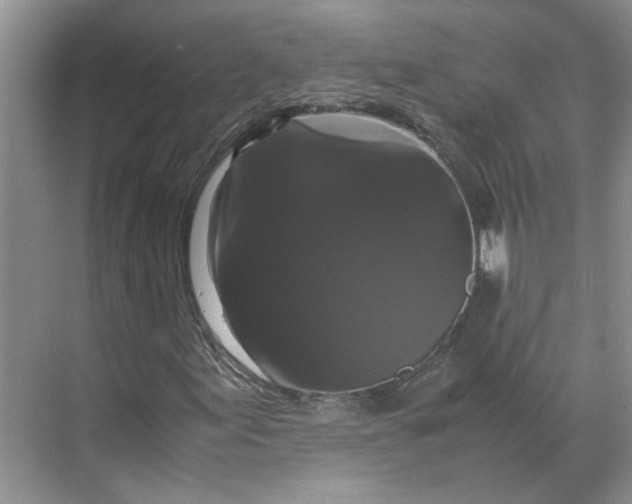 X0000070171155200606091433