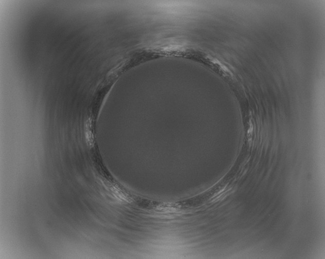 X0000070171156200606091433