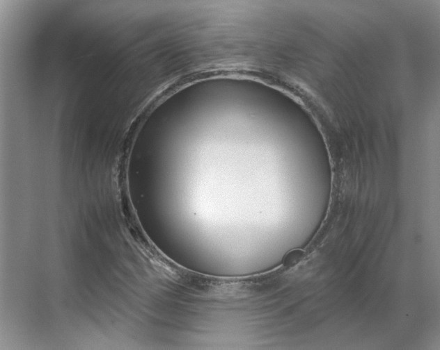 X0000070171162200606091433