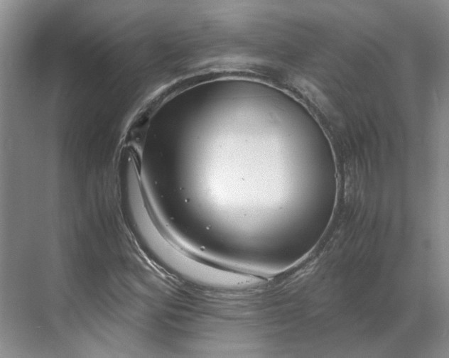 X0000070171164200606091433