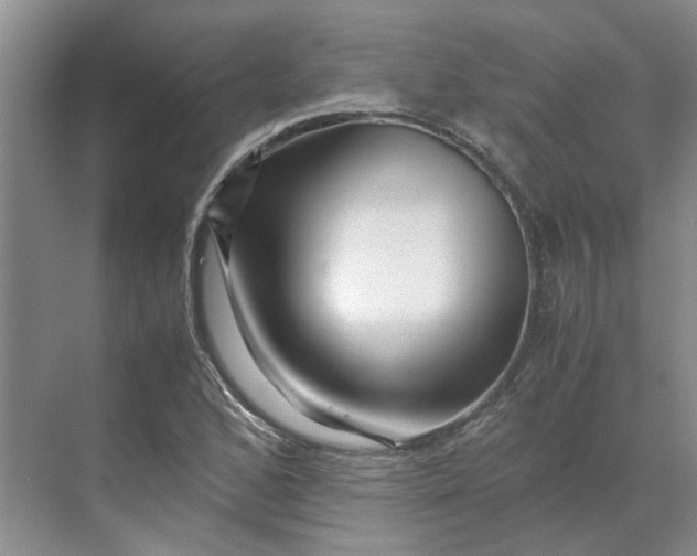 X0000070171168200606091433