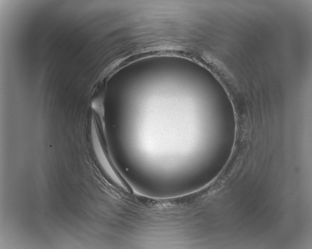 X0000070171169200606091433