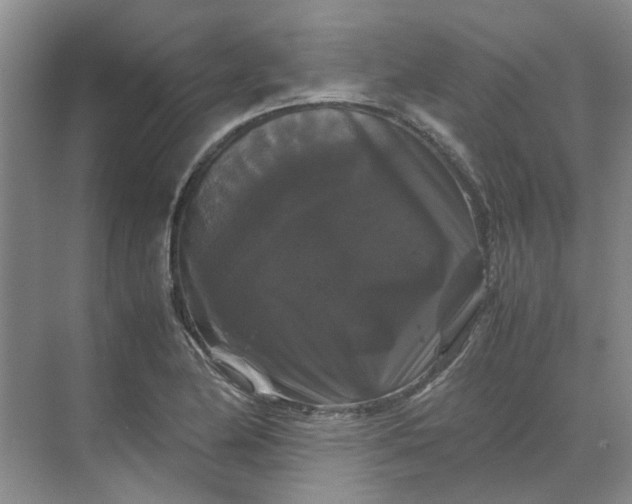 X0000070171174200606091433