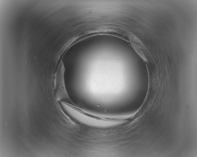 X0000070171177200606091433
