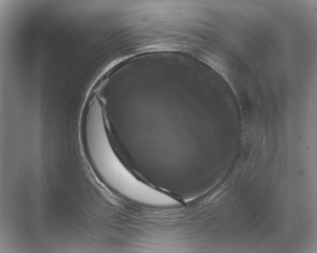 X0000070171179200606091433