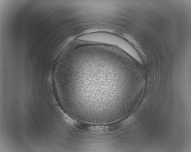 X0000070171185200606091433