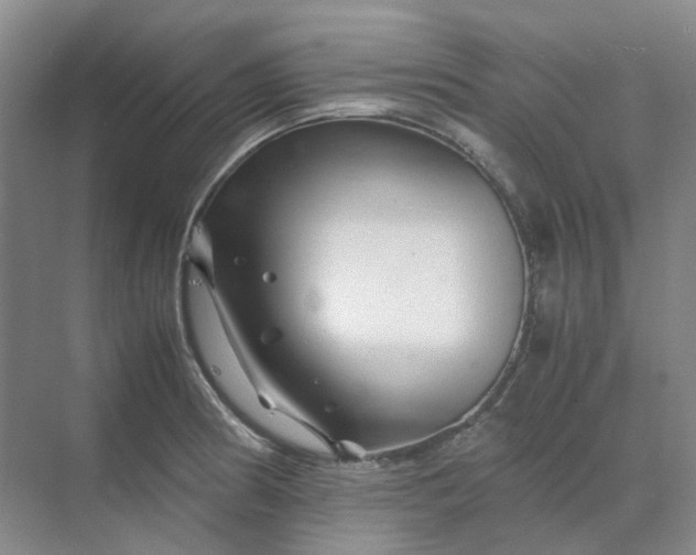 X0000070171186200606091433
