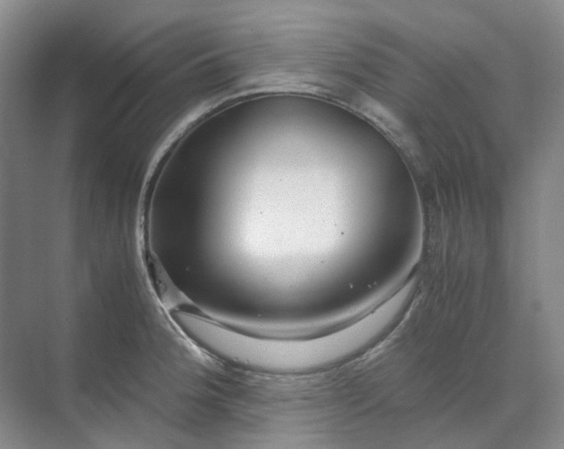X0000070171188200606091433