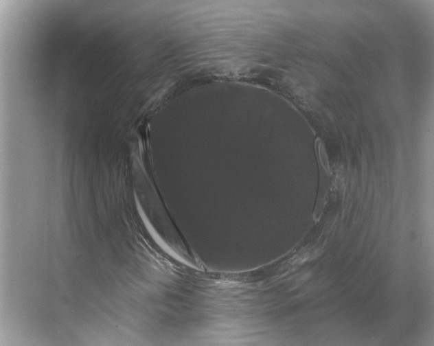 X0000070171202200606091432