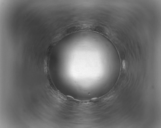 X0000070171203200606091432