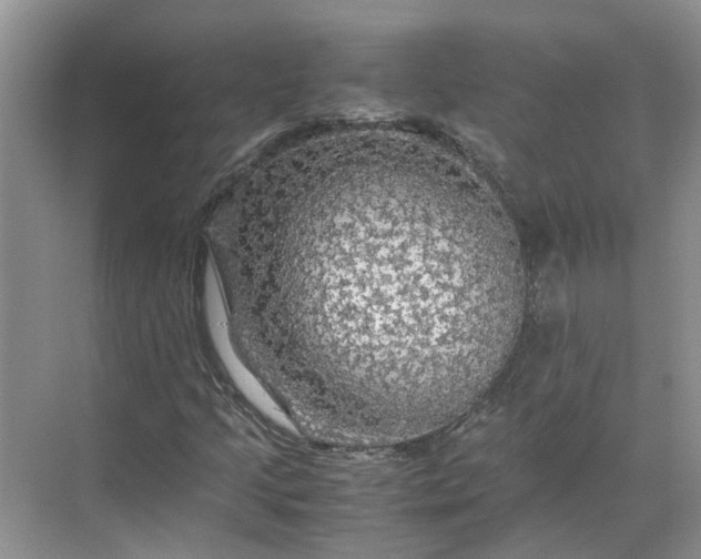 X0000070171205200606091432