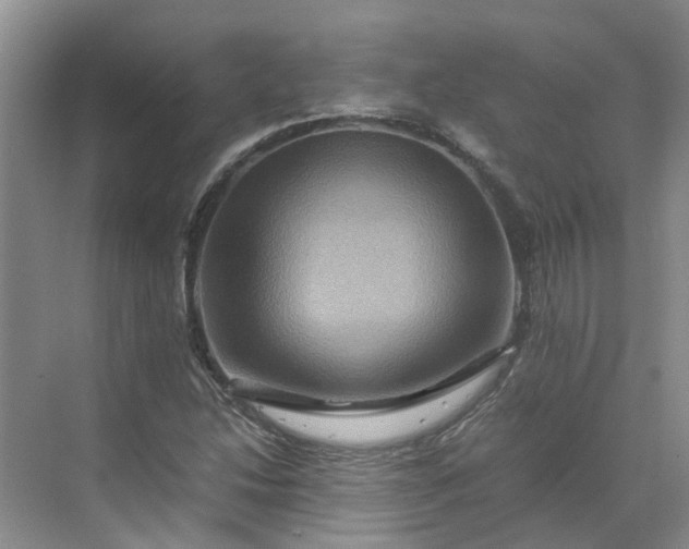 X0000070171214200606091432