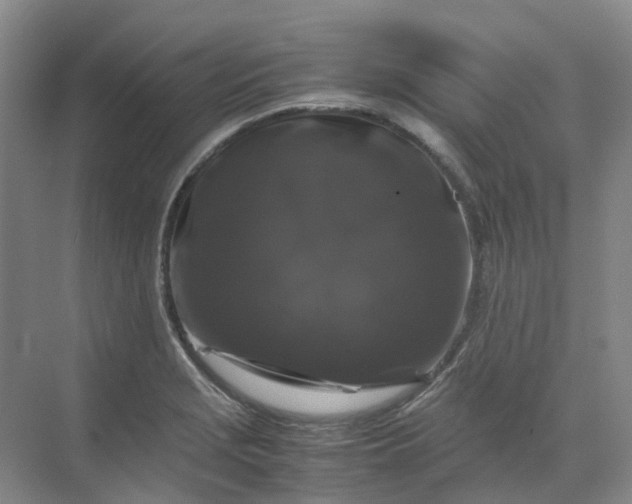 X0000070171229200606091432