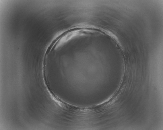 X0000070171231200606091432