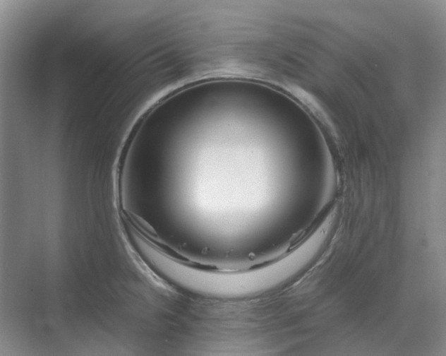 X0000070171238200606091432